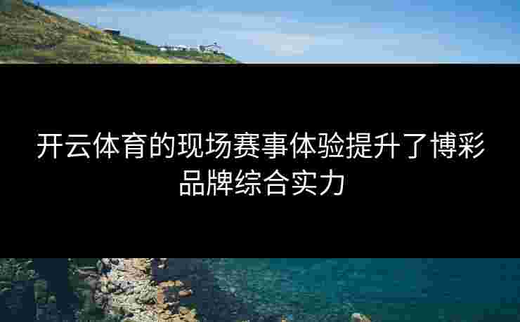 开云体育的现场赛事体验提升了博彩品牌综合实力