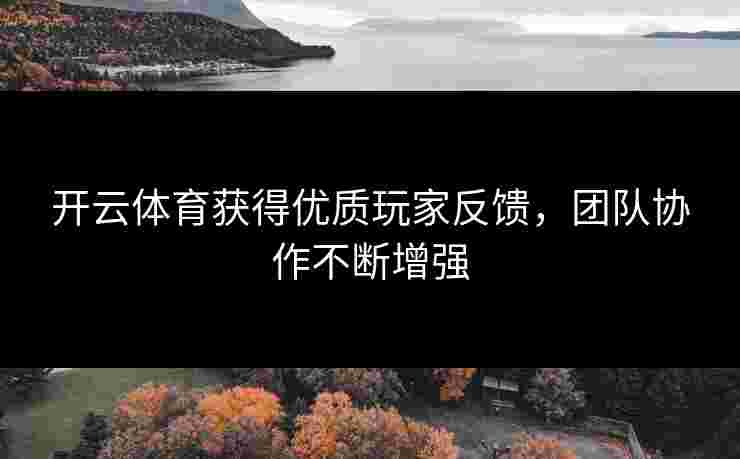 开云体育获得优质玩家反馈，团队协作不断增强