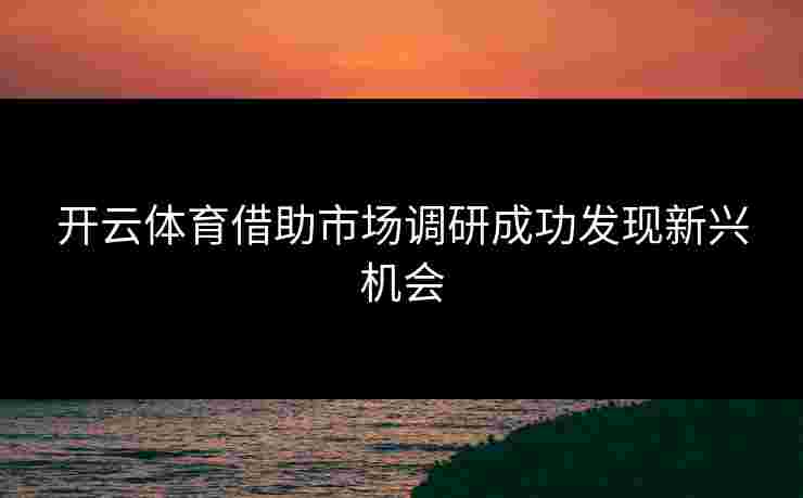 开云体育借助市场调研成功发现新兴机会